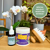 LIMITED EDITION | Holiday Winter Washday Bundle