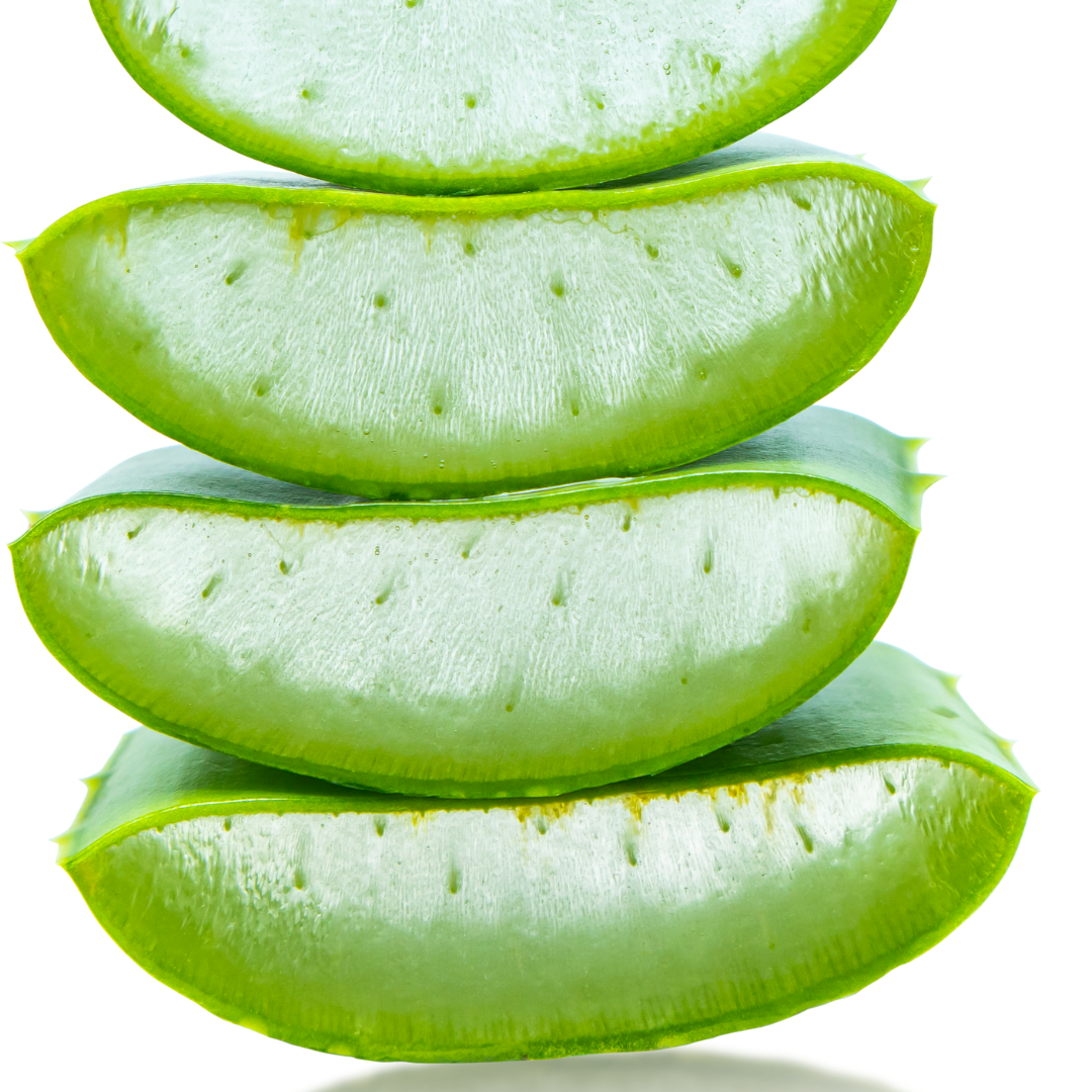 Ingredient Spotlight | Aloe Vera