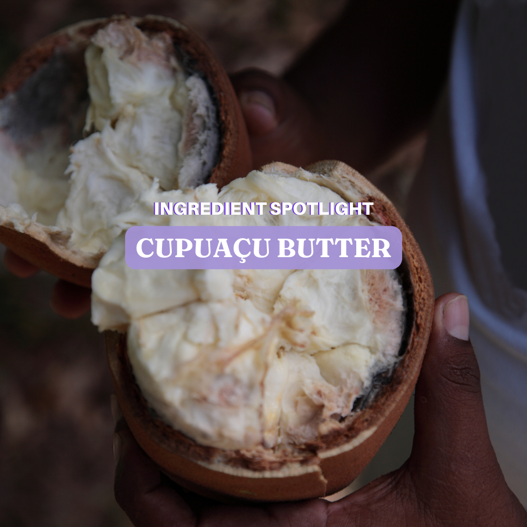 Ingredient Spotlight | Cupuaçu