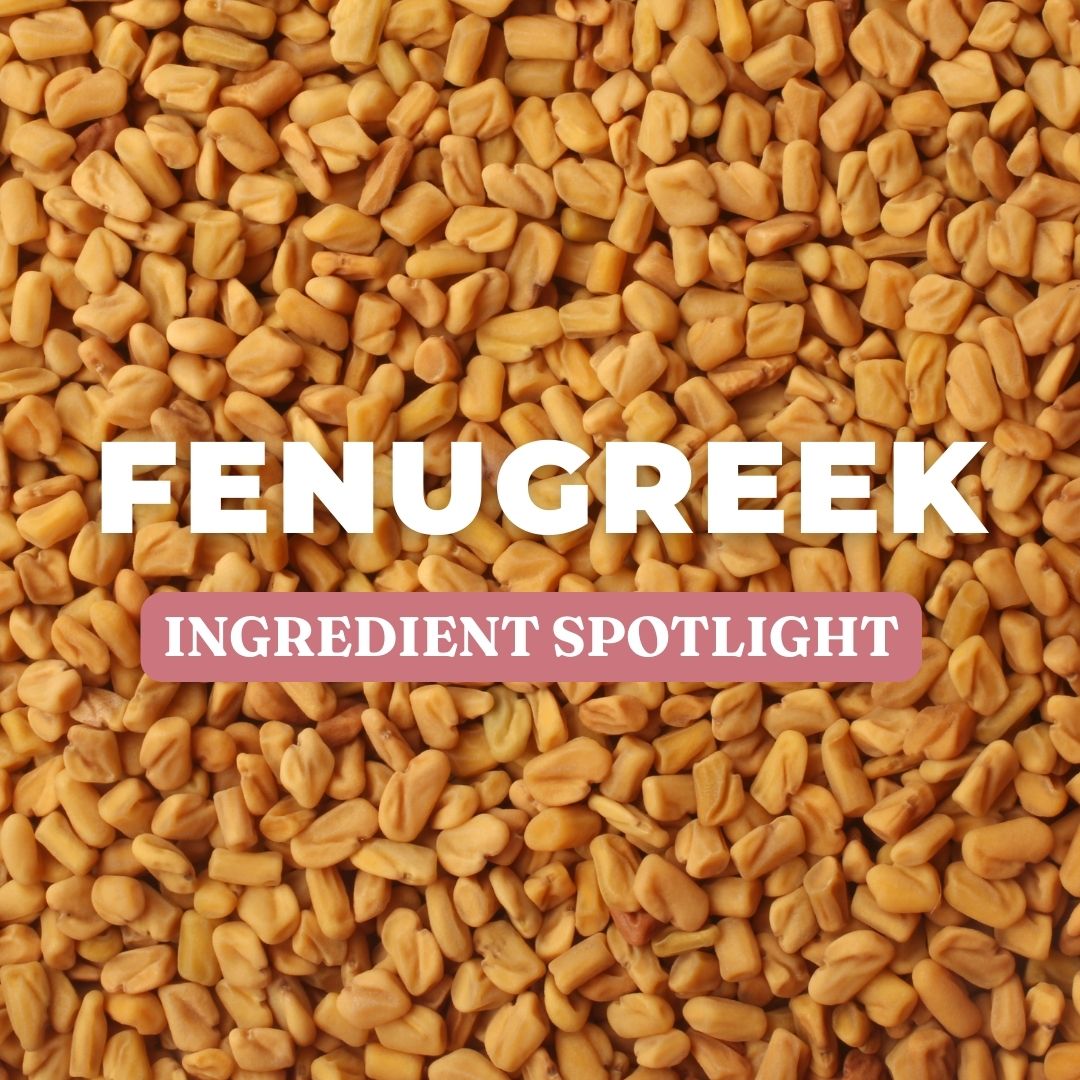Ingredient Spotlight | Fenugreek